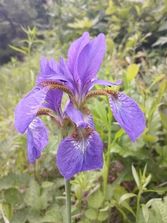 2026년 부활절 날짜 언제 정확히 확인하는 방법에 대한 일정확인_9