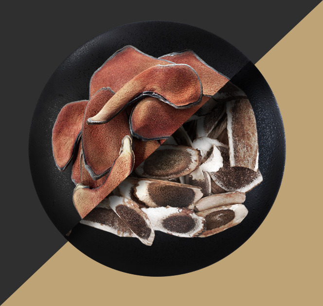 녹각과 녹용의 차이