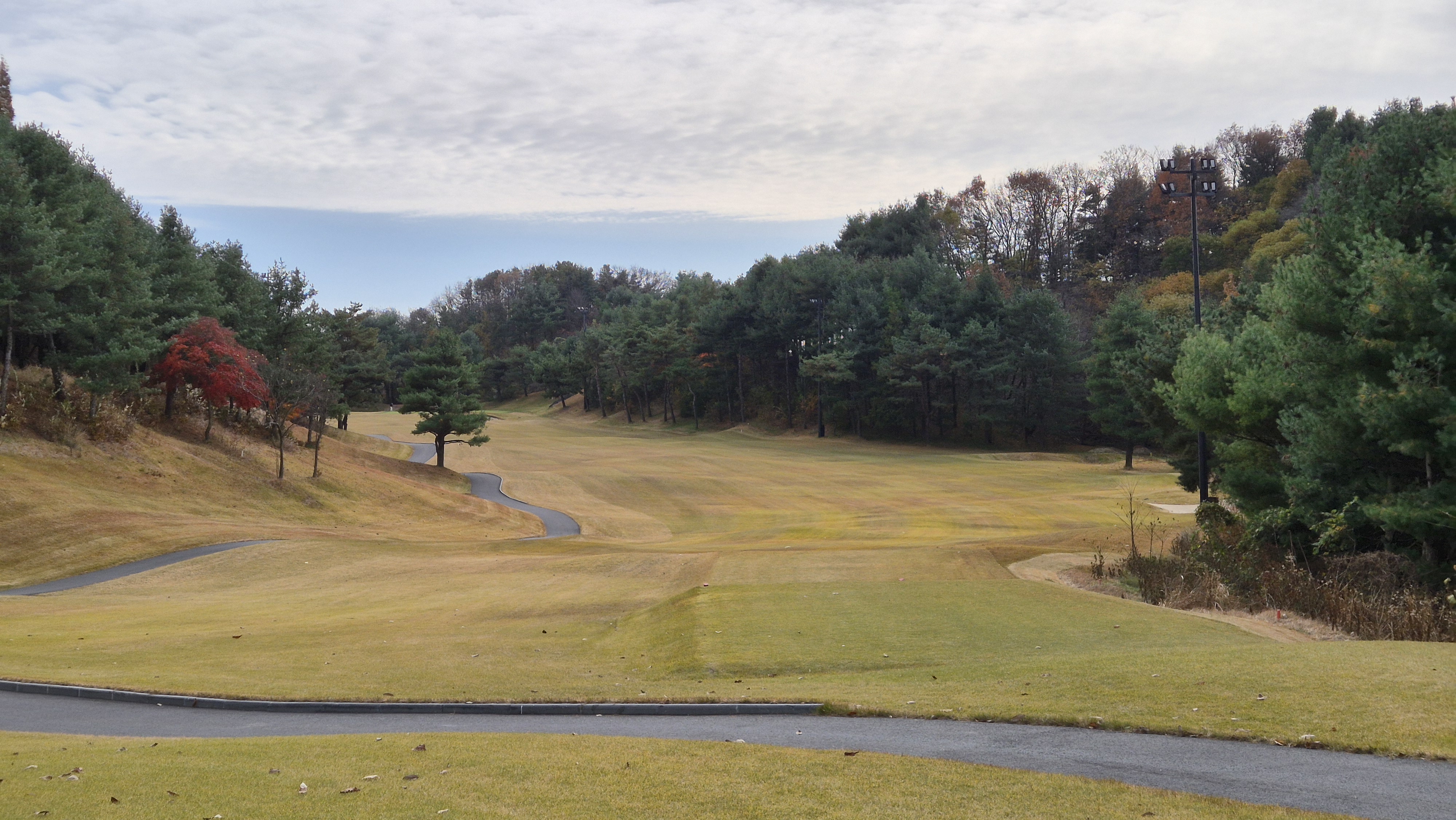 세종에머슨cc 마운틴코스 사진 및 공략 정보