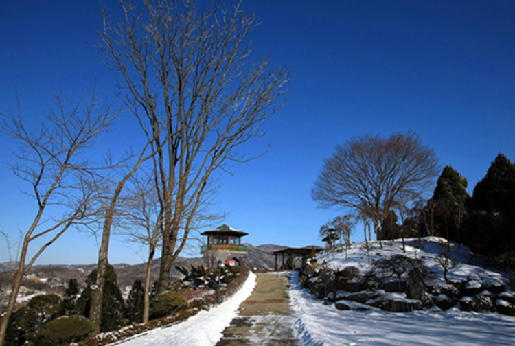 세종 베어트리파크 수목원