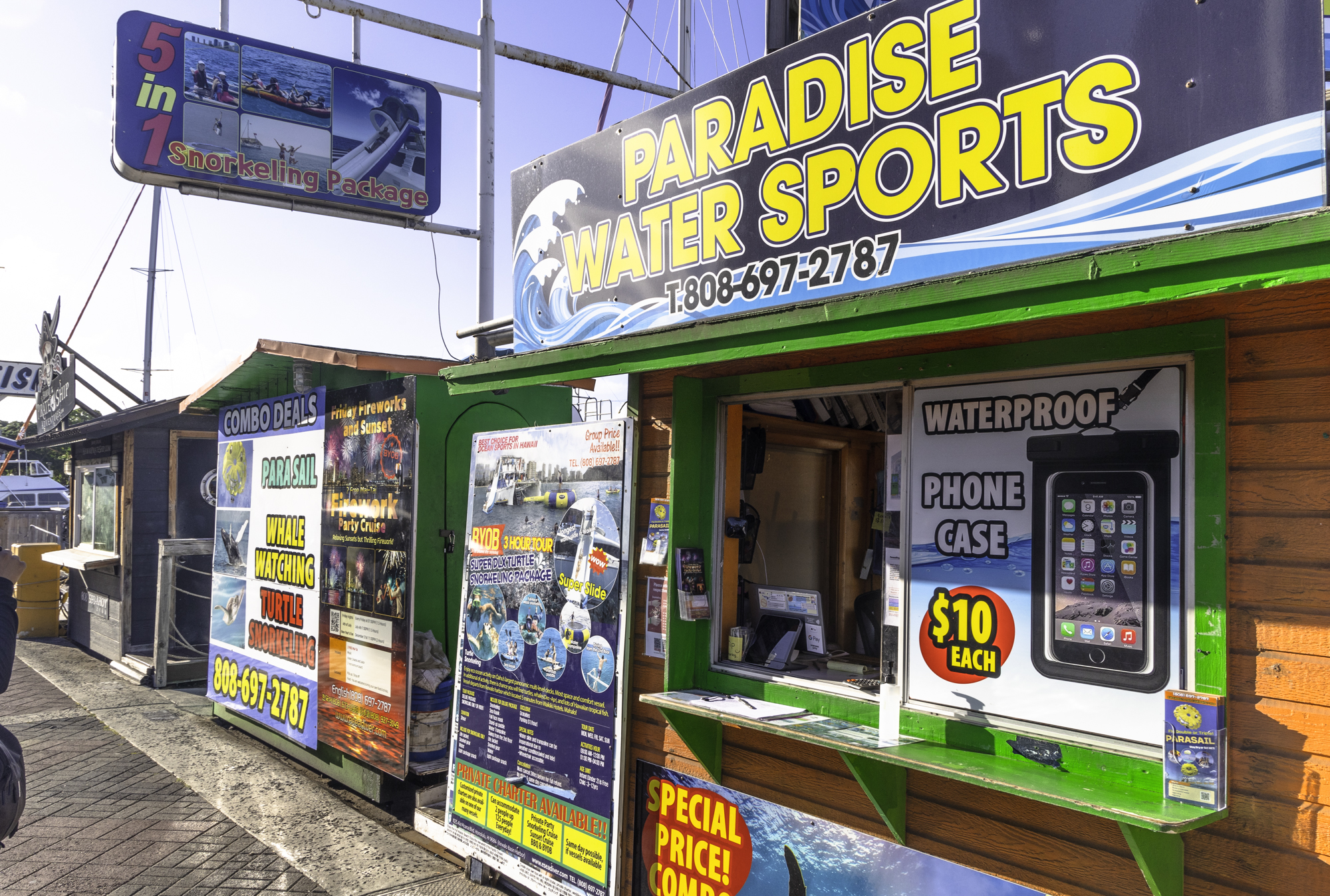 하와이 거북이 스노쿨링