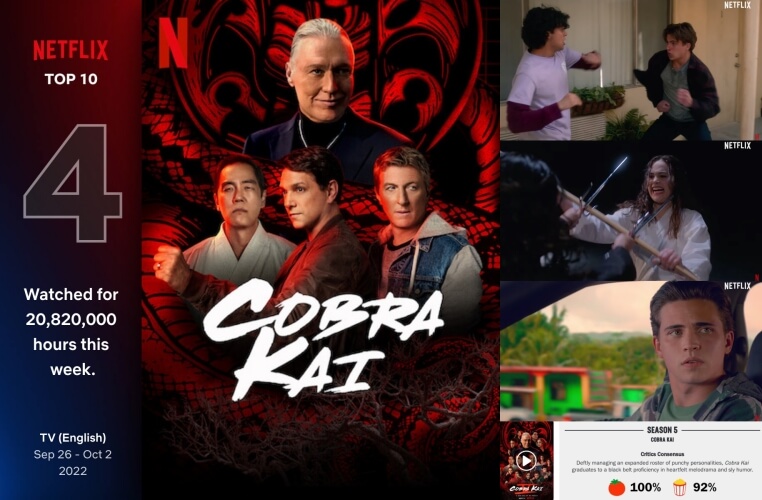 코브라 카이5 포스터