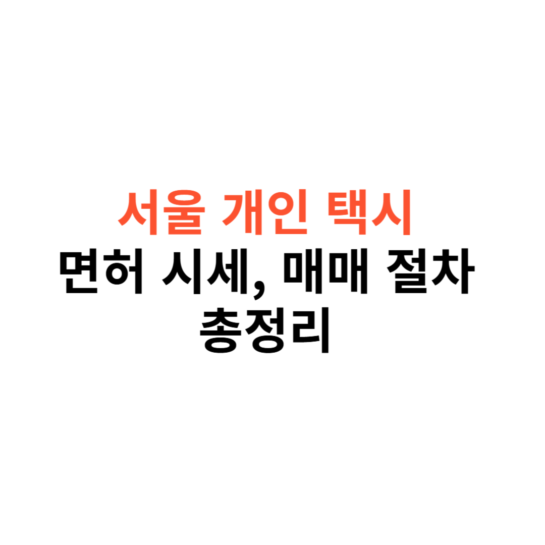 서울 개인택시 면허 시세