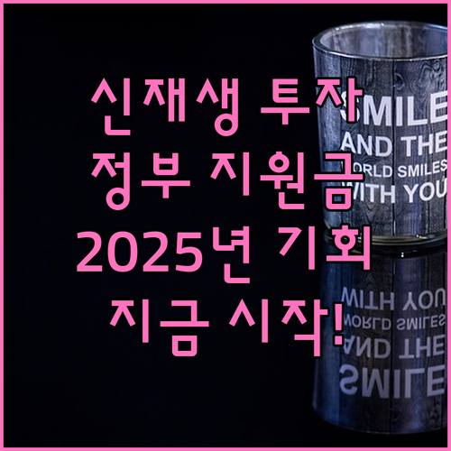 신재생에너지 투자, 2025년 정부 ..