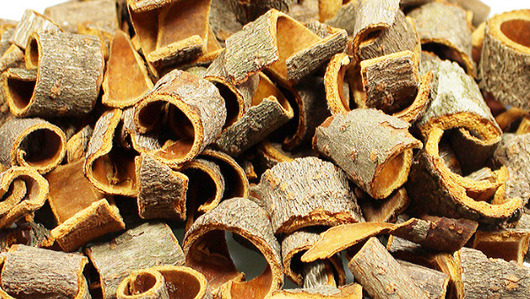 후박나무껍질 효능 뭘까?