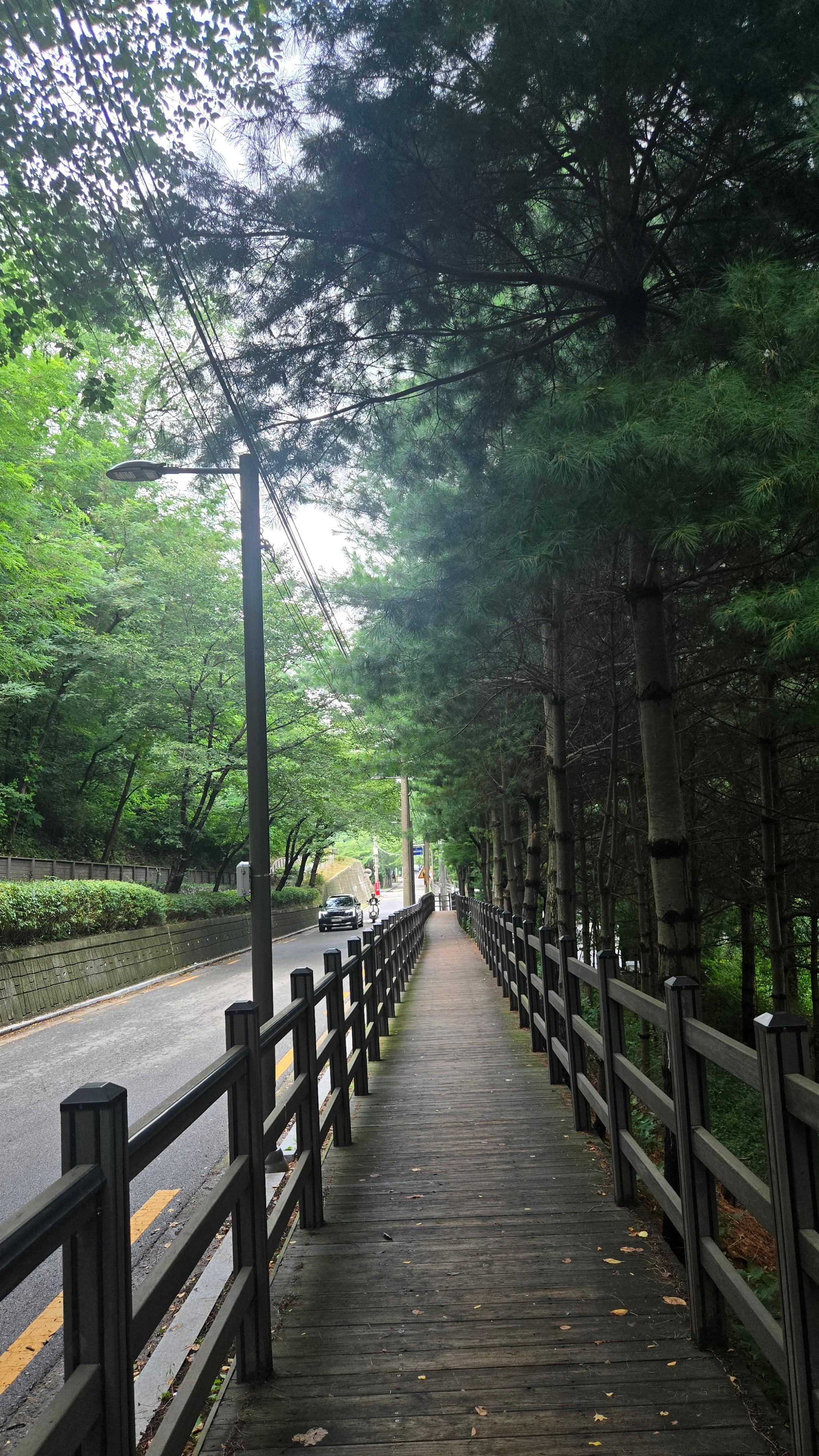 사진 속 데크길이 바로 제가 매일 걷는 출근길