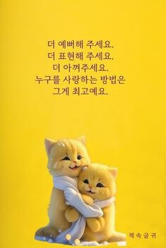 더-예뻐해-주세요-더-표현해-주세요-더-아껴주세요