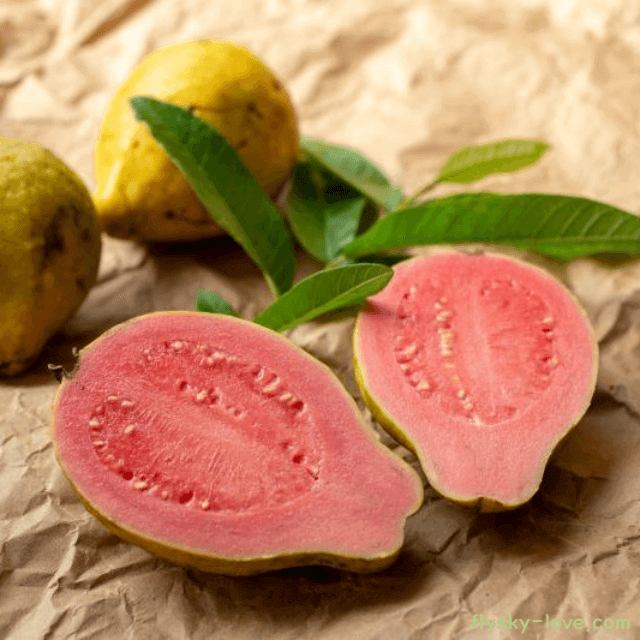 구아바 고르는 법