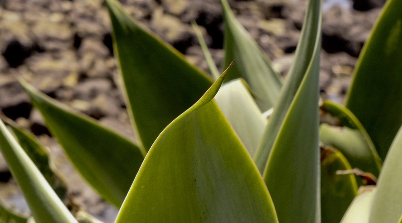 품질관리의 기본 개념