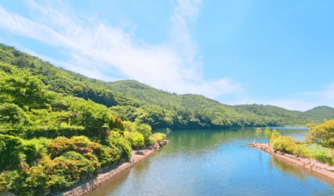 완도 숙박 신지면 명사십리 독채펜션 추천