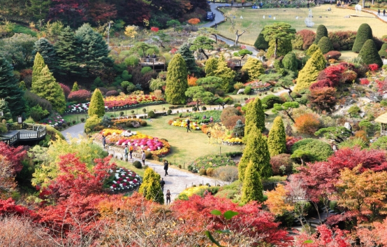 아침고요수목원
