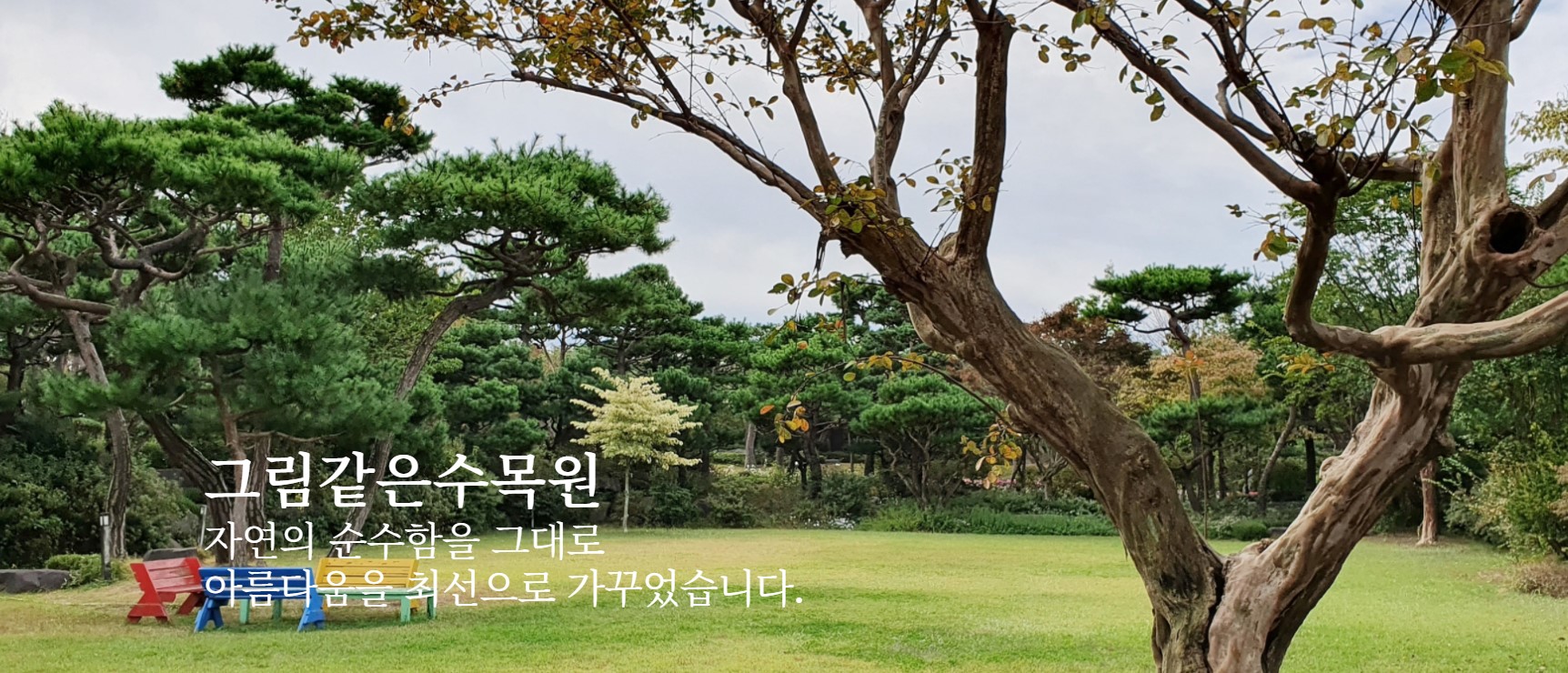 그림같은 수목원