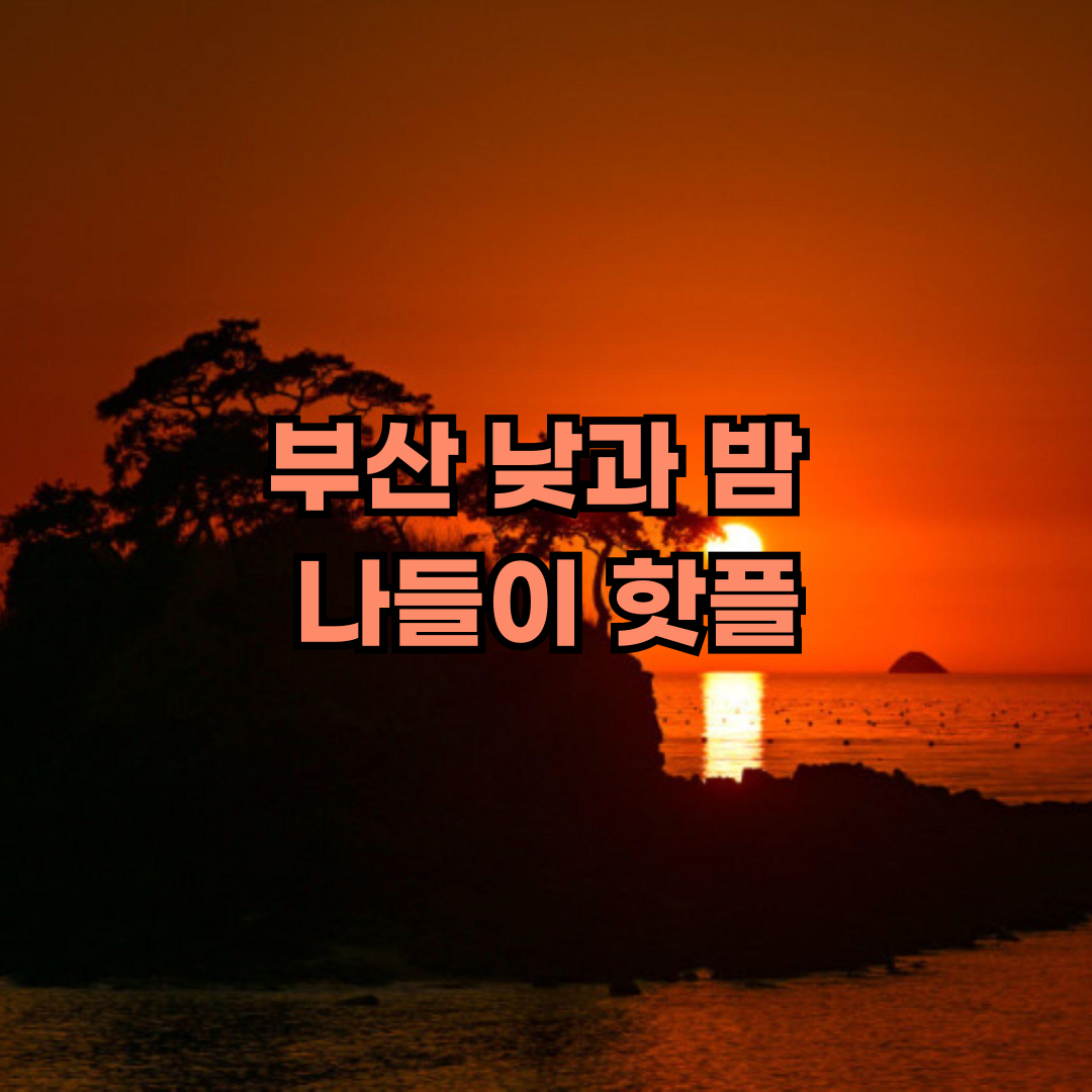 부산 낮과 밤 나들이