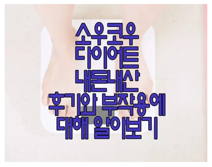 소우코우 다이어트에 관한 글 보러 가기 링크 사진