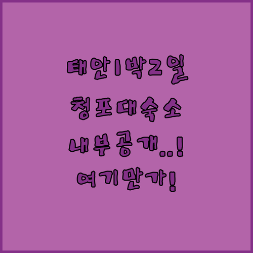 태안 1박 2일 여행 코스 청포대 해..