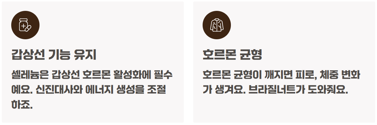 브라질너트 효능