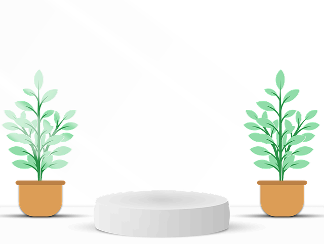 친환경 집 꾸미기 : 환경을 생각한 인테리어 아이디어