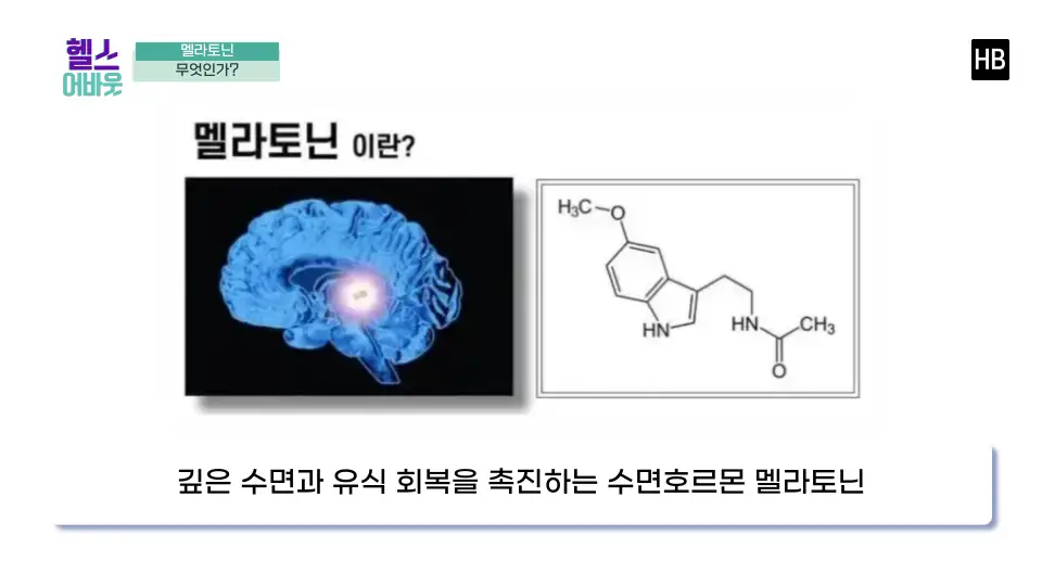 멜라토닌 효능 부작용 복용법 영양제 구입처