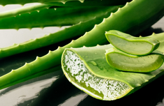 위산 과다에 좋은 음식 