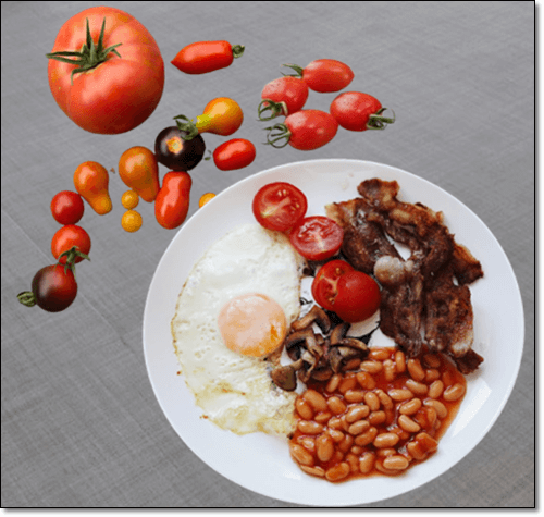 다양한 토마토와 대추방울토마토 요리 