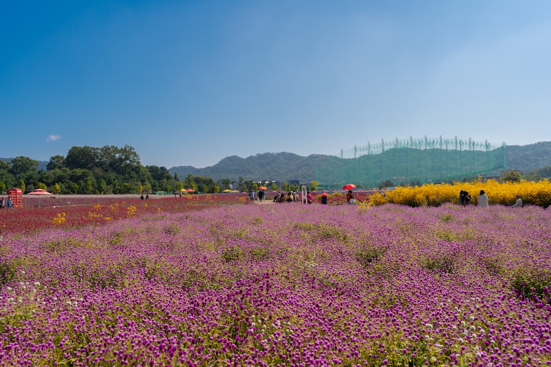Korea