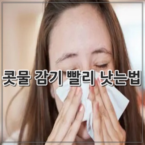 콧물 감기 빨리 낫는법 8가지 정리