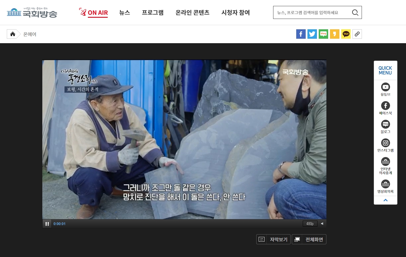 자막, 화질 조정 기능이 포함된 국회방송 온에어 재생 화면