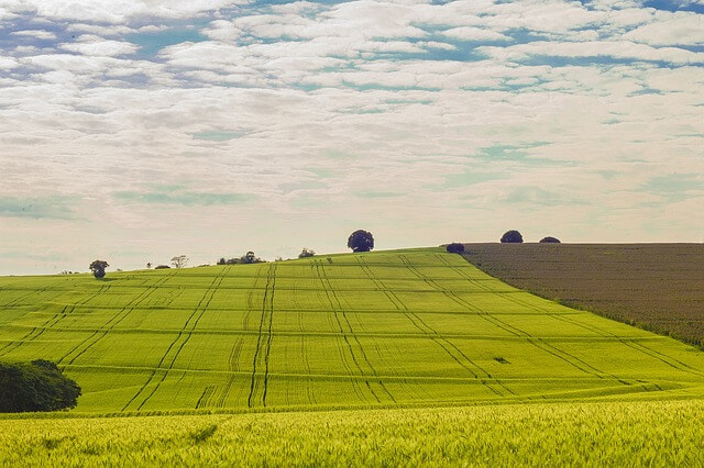 토지거래허가제 한국과 해외의 부동산 거래 규제 비교