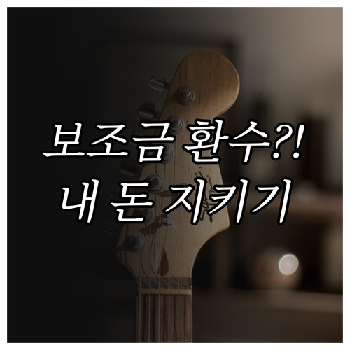 전기차 보조금 의무 운행 기간 위반 ..