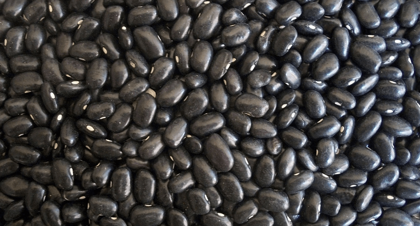 서리태 효능과 관련된 사진 - 1