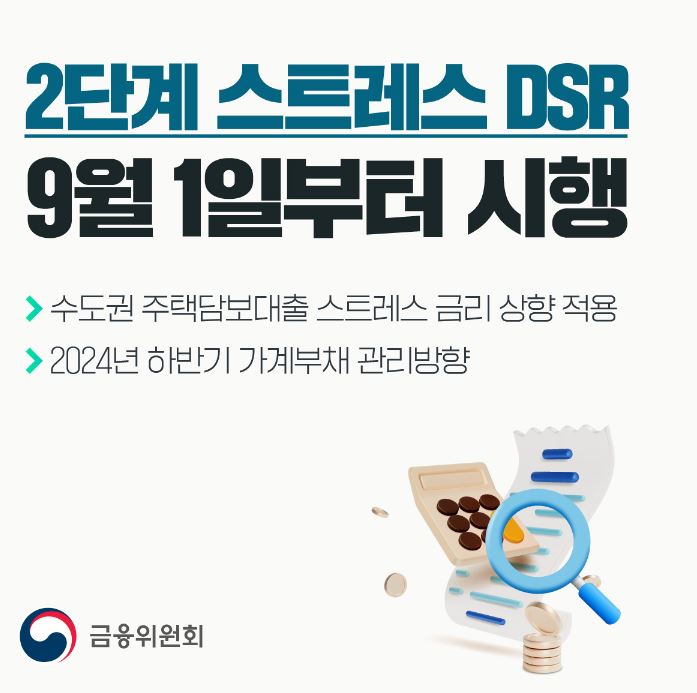 2단계 DSR시행
