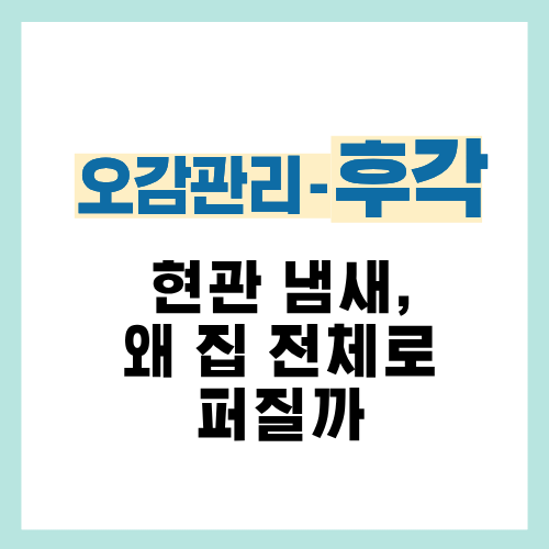 12편. 현관 냄새가 집 전체로 퍼지는 원인 정리