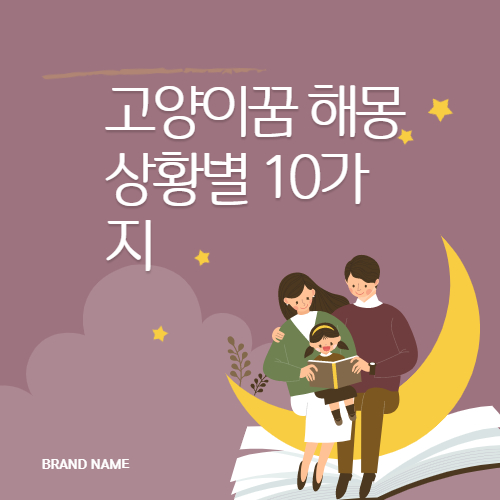 고양이꿈 해몽