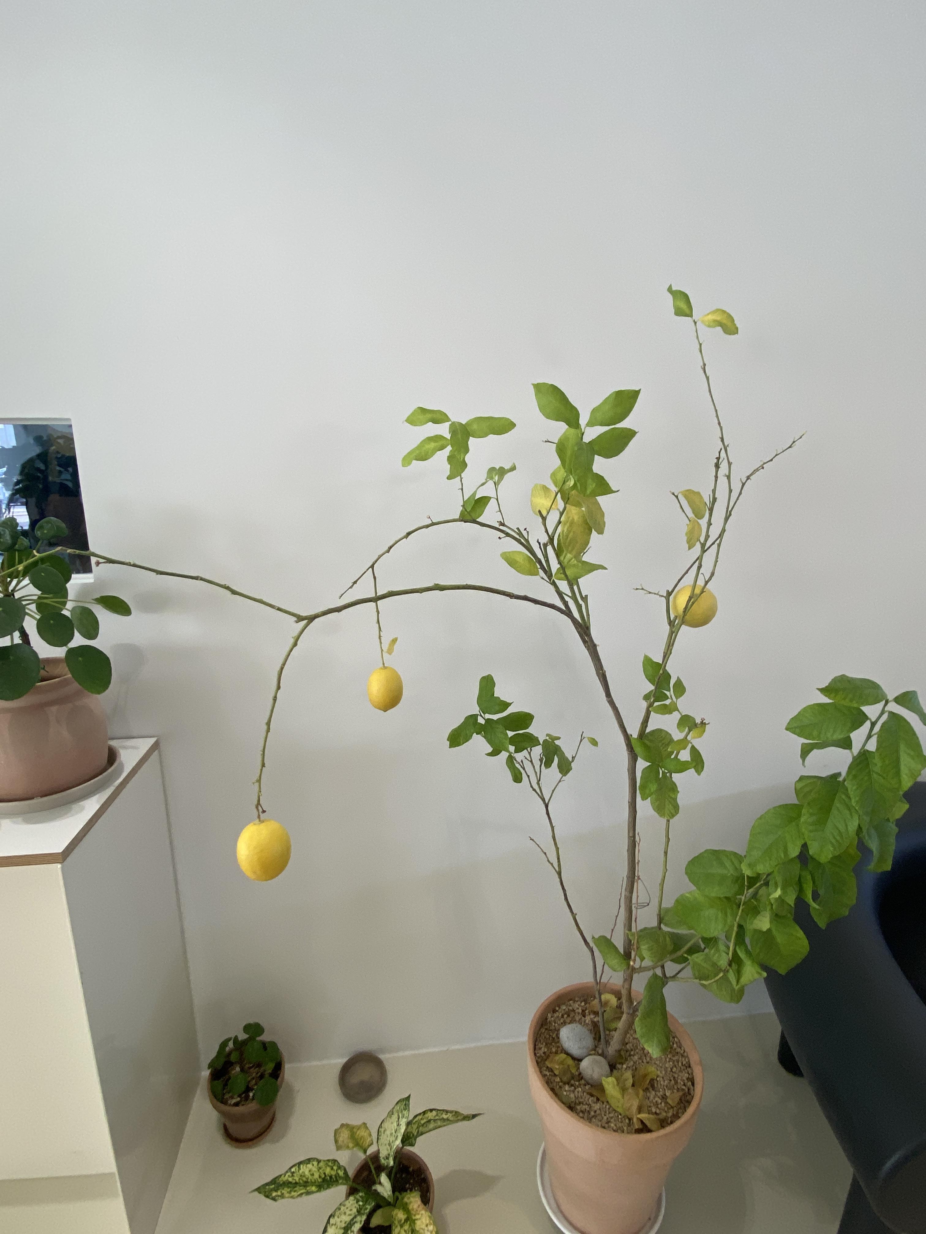 시흥동 아트디파트먼트