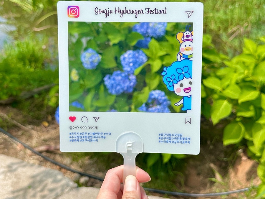 유구색동수국정원 수국축제