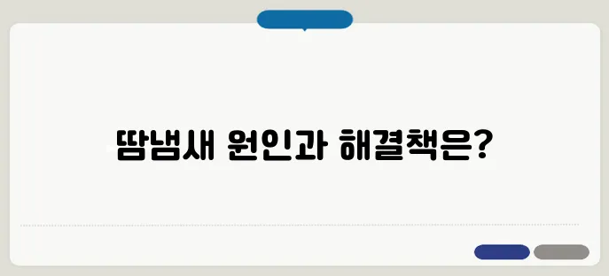 땀냄새가 심한 이유와 해결책
