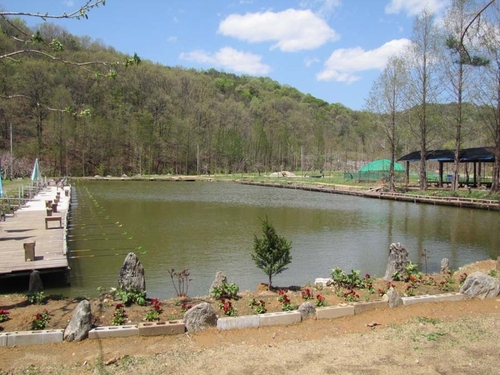 경기-양평-부림오토캠핑장-사진-입니다.