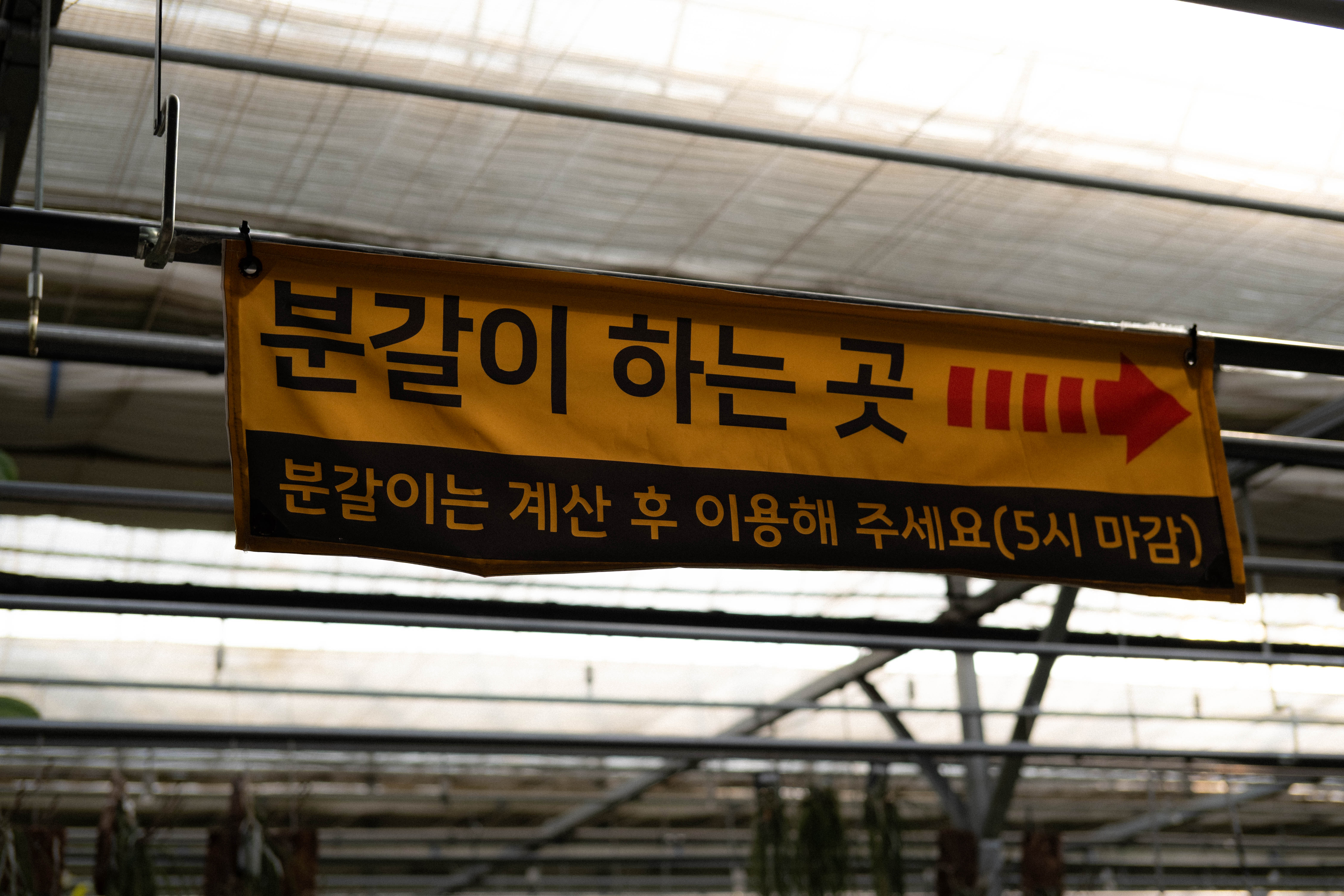 분갈이