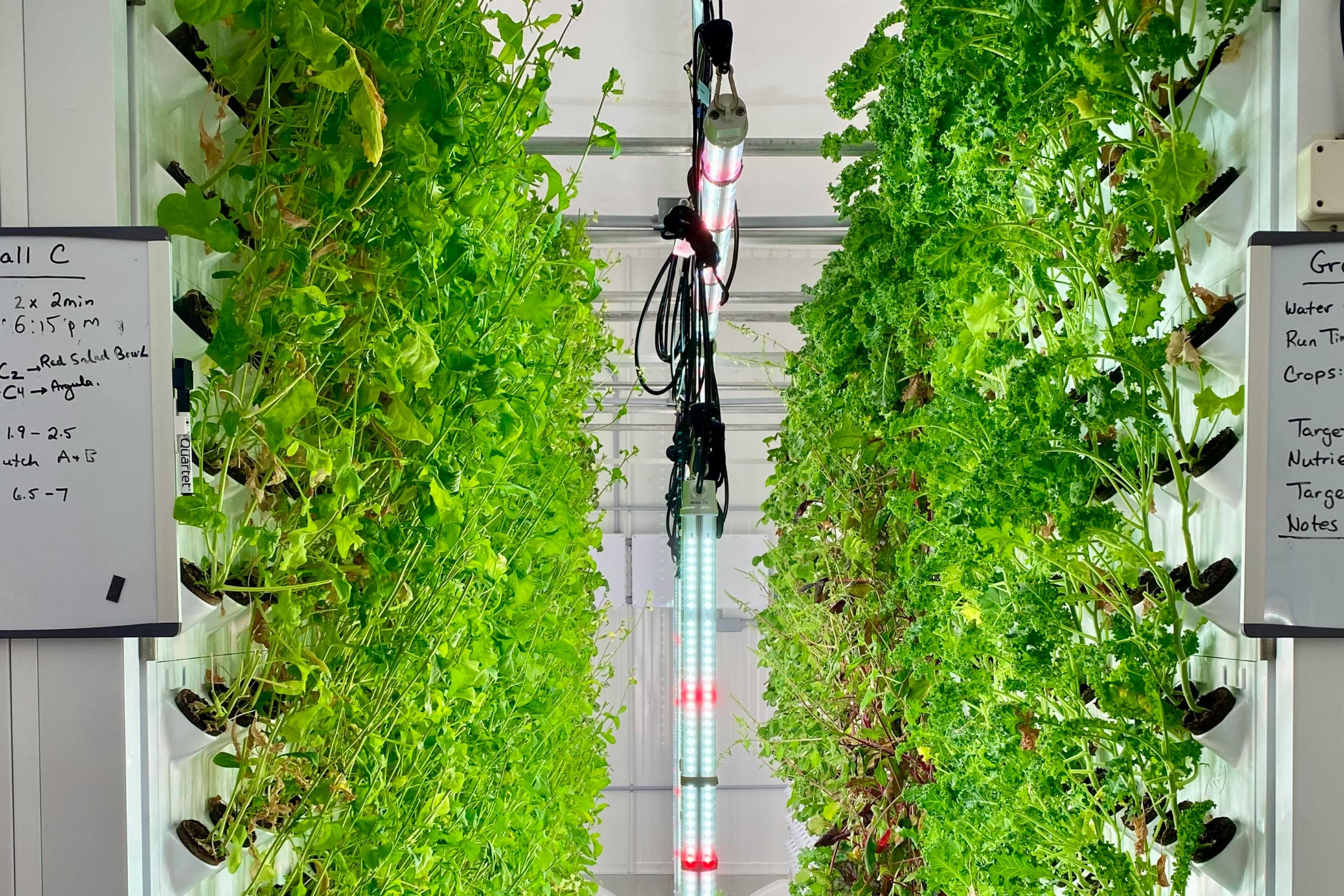 스마트팜이 기후 변화 대응에 중요한 이유는 무엇일까