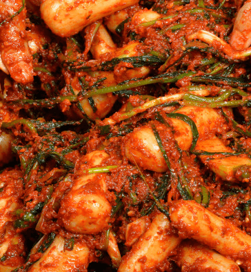 김장 알타리김치 맛있게 담그는 방법