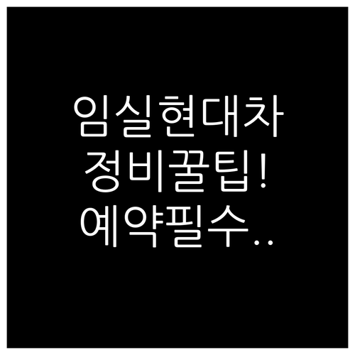 임실군 현대자동차 정비 예약 팁과 인..