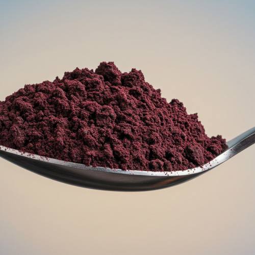 아로니아 분말 사진