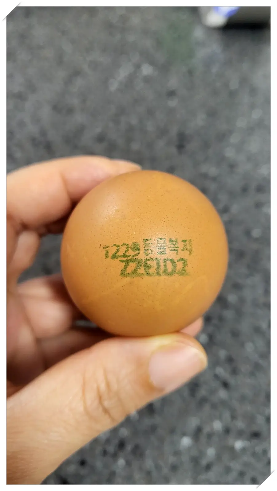 계란-난각번호