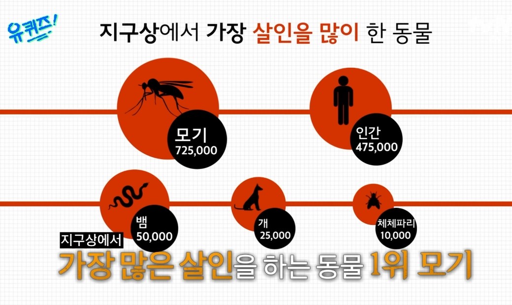 모기로 인한 사망자