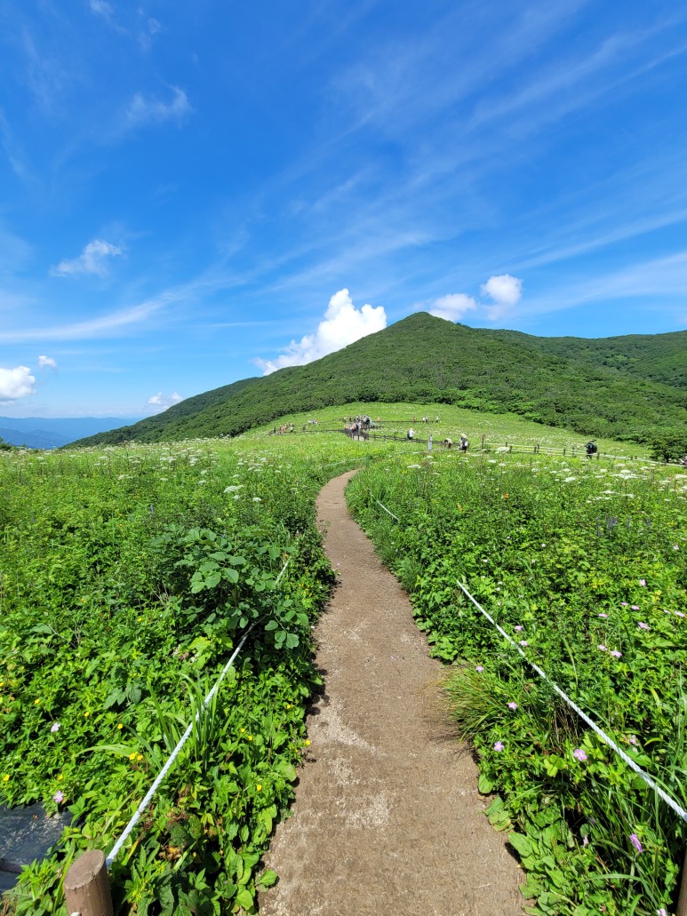 곰배령 예약하기