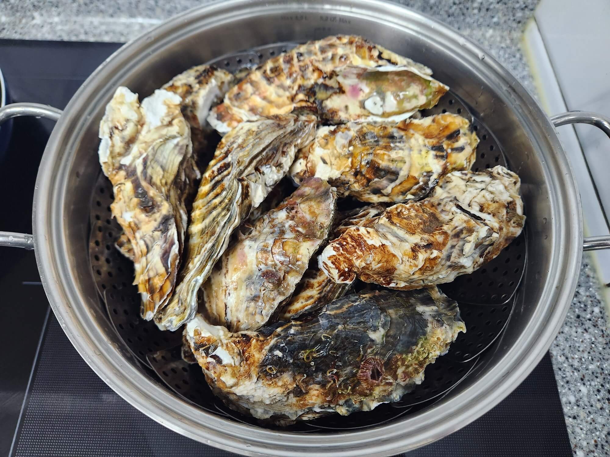 석화 찜기에 올리기