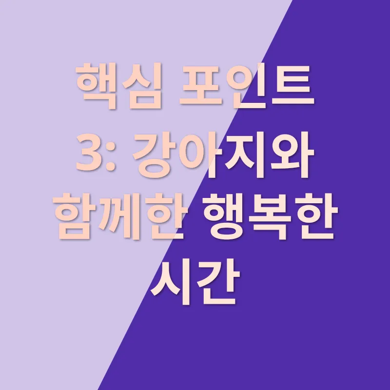 애견 입양 이야기_3