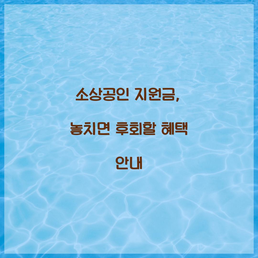 소상공인 지원금