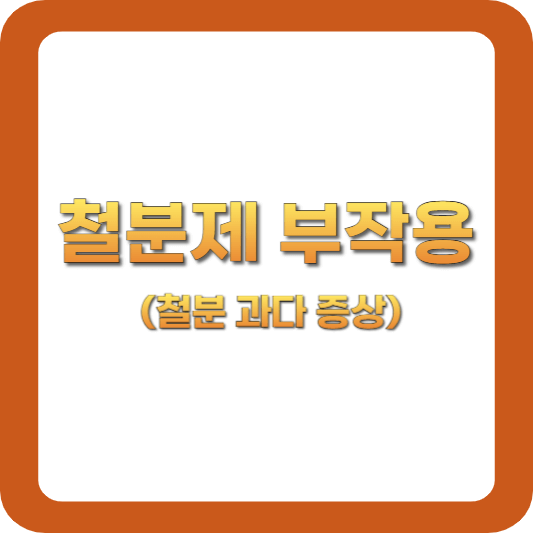 철분제-부작용