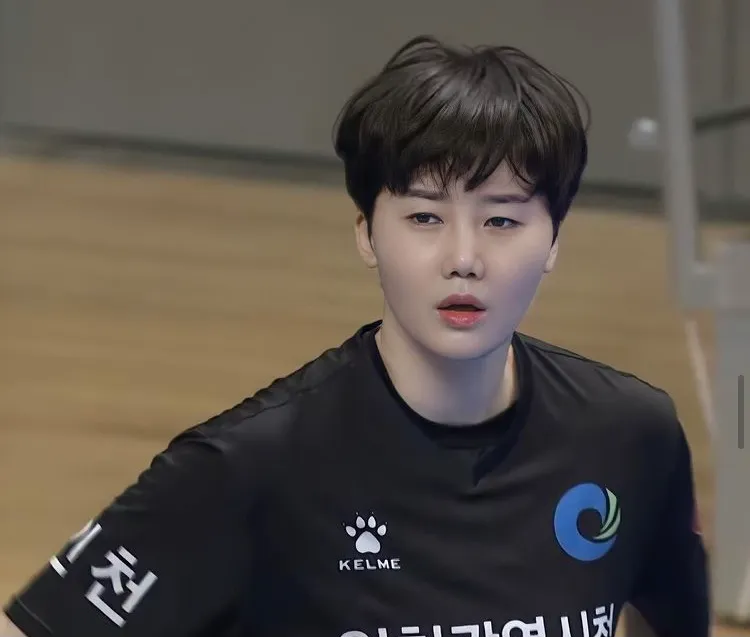 핸드볼 레전드 이력 